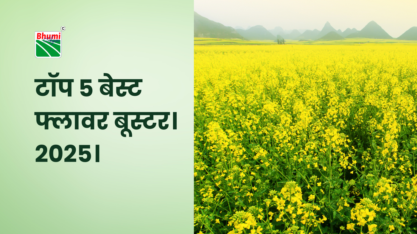 टॉप 5 बेस्ट फ्लावर बूस्टर। 2025।