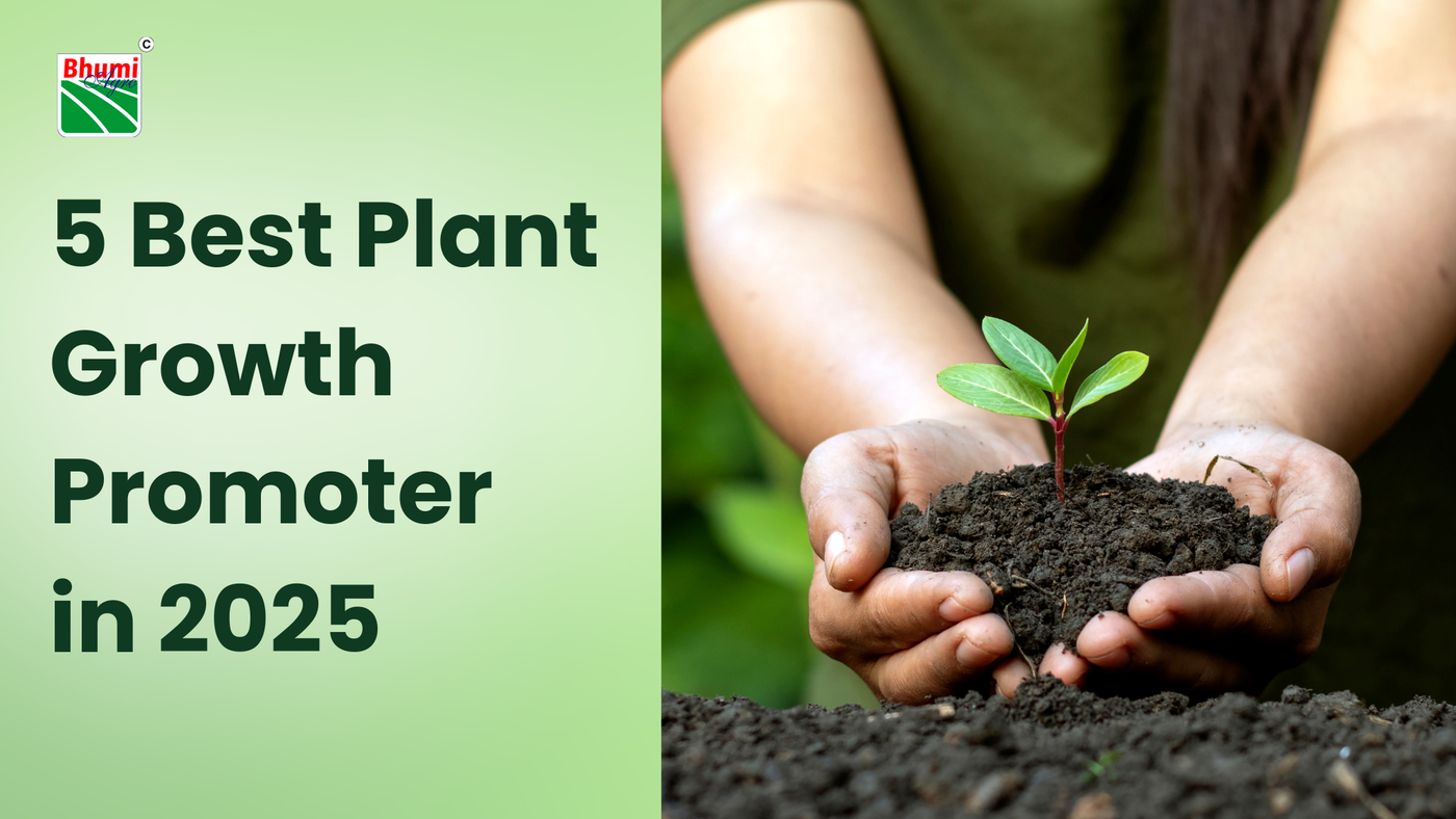 5 Best Plant Growth Promoter in 2025