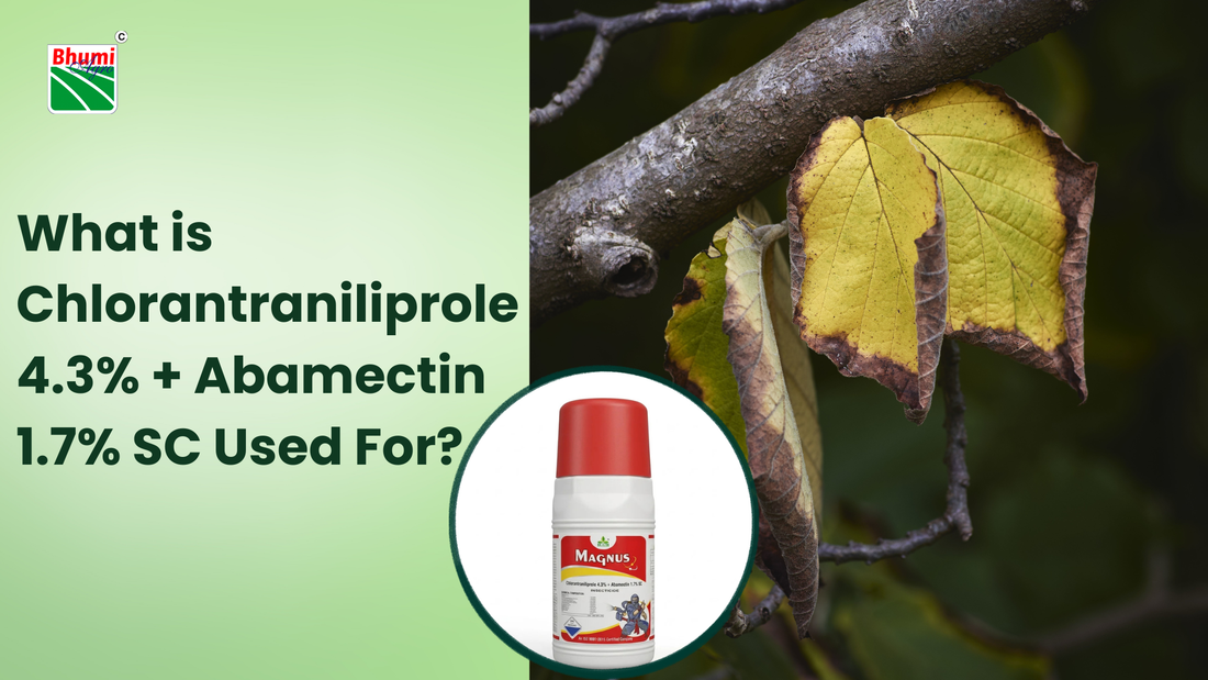What is Chlorantraniliprole 4.3% + Abamectin 1.7% SC Used For?
