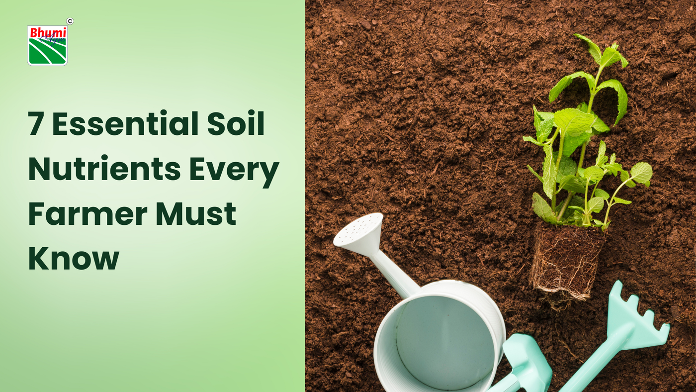 7 Essential Soil Nutrients Every Farmer Must Know