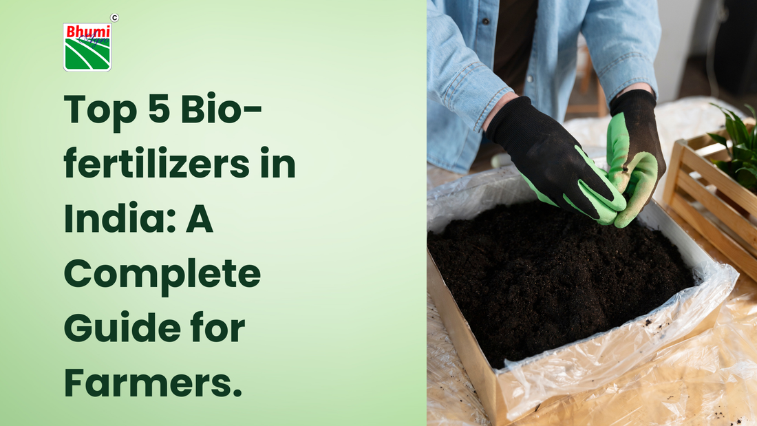 Top 5 Bio-fertilizers in India: A Complete Guide for Farmers.