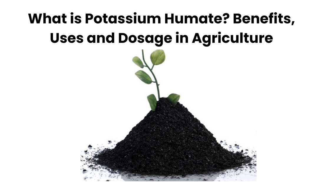 potassium humate