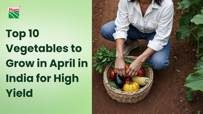 Top 10 Vegetables to Grow in April in India for High Yield (Complete Guide)