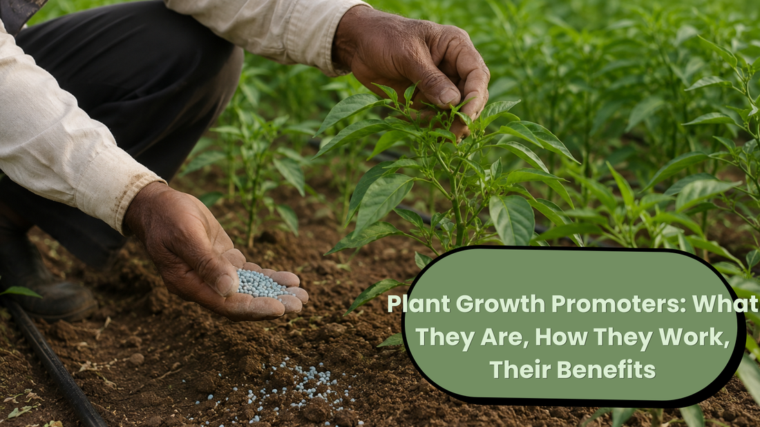 Plant Growth Promoters: What They Are, How They Work, Their Benefits
