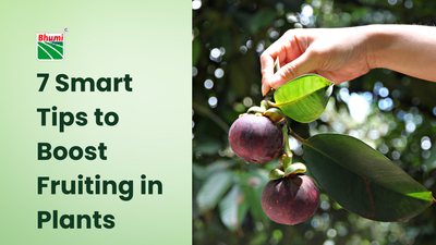 7 Smart Tips to Boost Fruiting in Plants Every Gardener Should Know