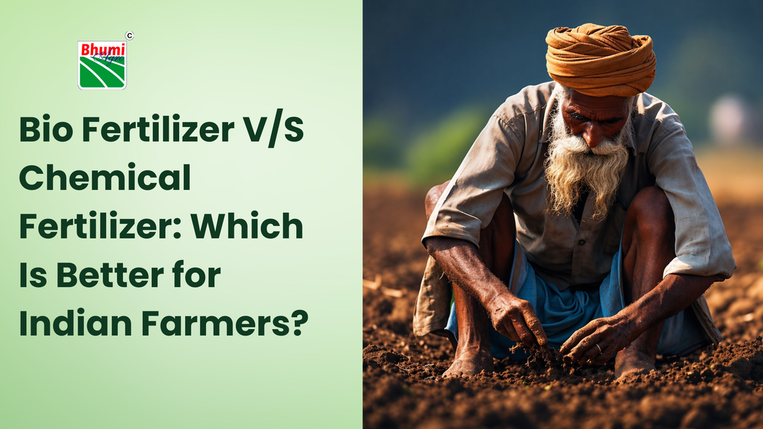 Bio Fertilizer V/S Chemical Fertilizer