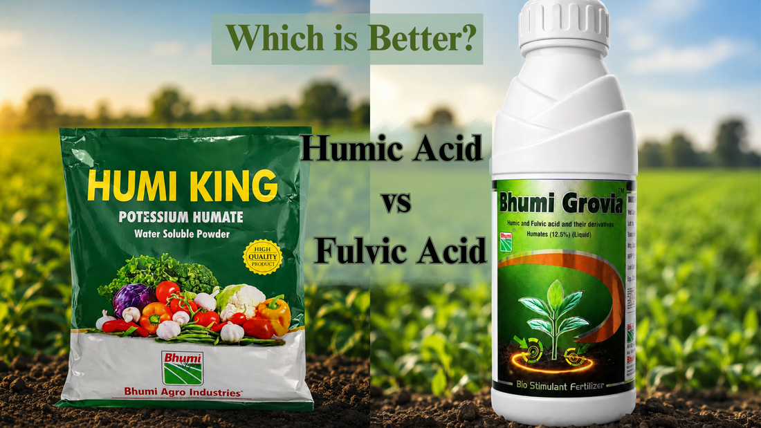 Humic Acid vs Fulvic Acid