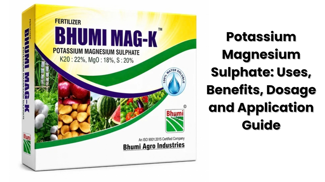 Potassium Magnesium Sulphate: Uses, Benefits, Dosage and Application Guide