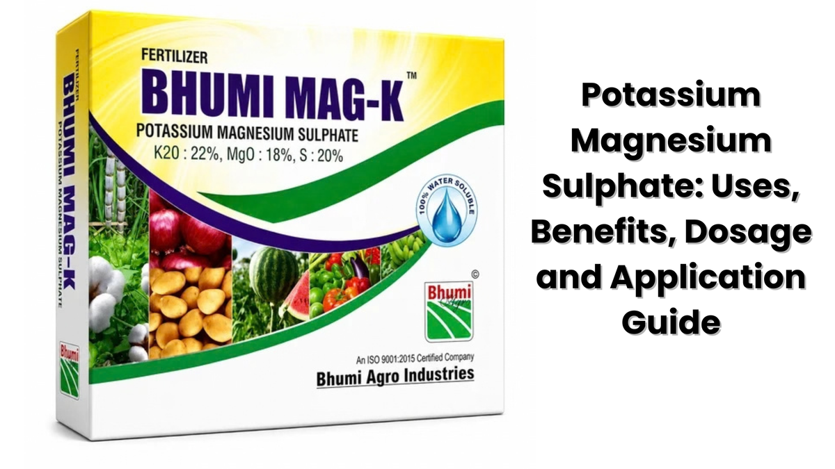 Potassium Magnesium Sulphate: Uses, Benefits, Dosage and Application Guide