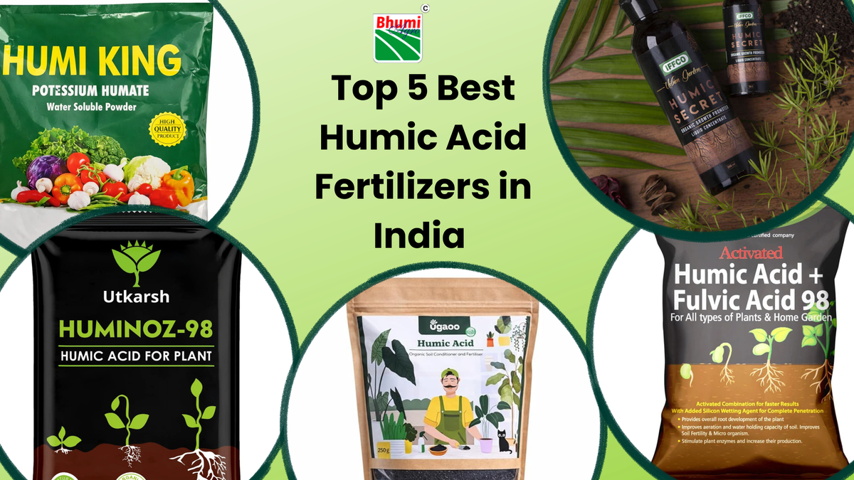 Top 5 Best Humic Acid Fertilizers in India 