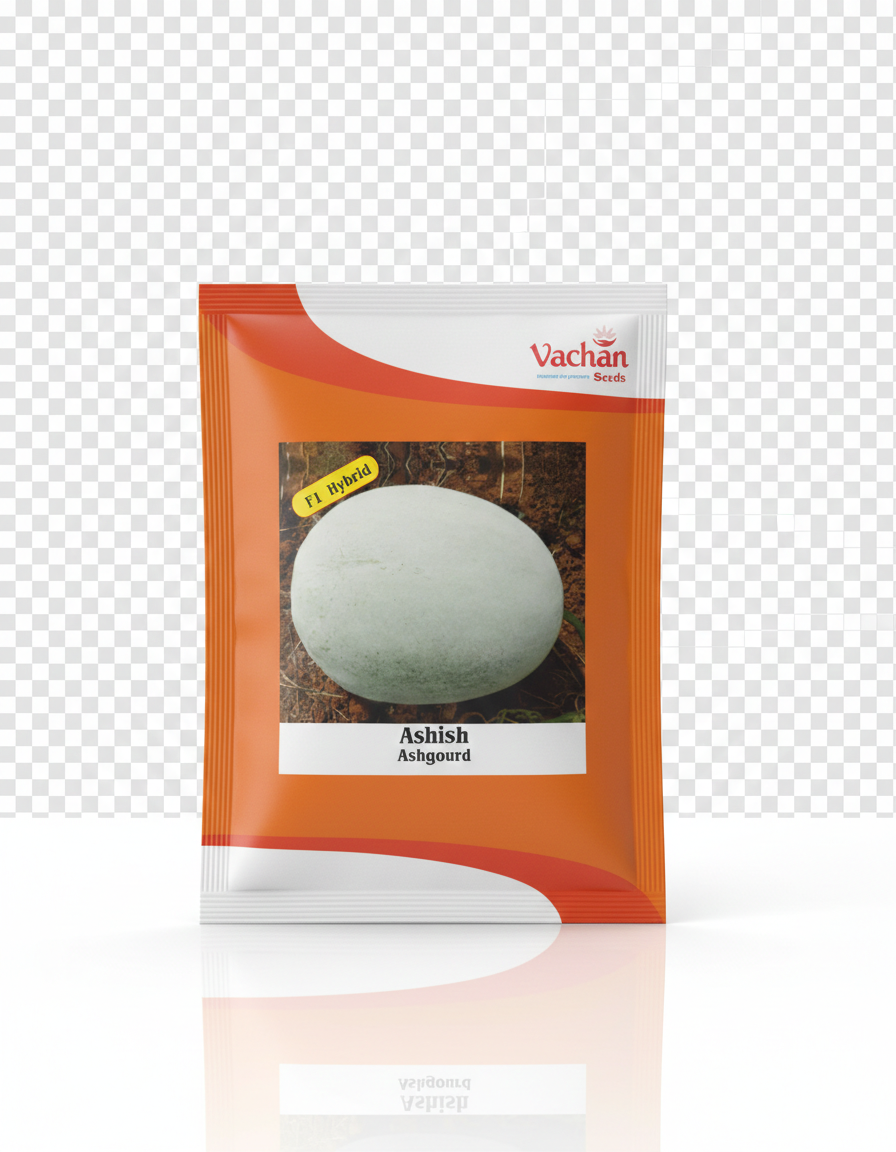 Ashish F1 Ash Gourd Hybrid | Home Gardening Seeds