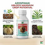 Nitrogen fixing biofertilizer