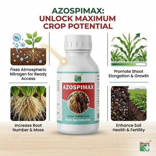 Nitrogen fixing biofertilizer
