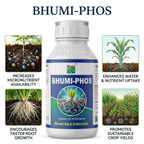 Phosphate solubilizing biofertilizer