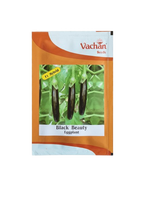 ब्लैक ब्यूटी एफ1 बैंगन हाइब्रिड | घरेलू बागवानी के बीज