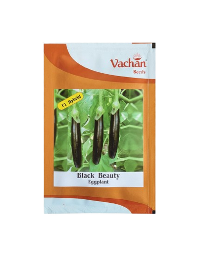 ब्लैक ब्यूटी एफ1 बैंगन हाइब्रिड | घरेलू बागवानी के बीज