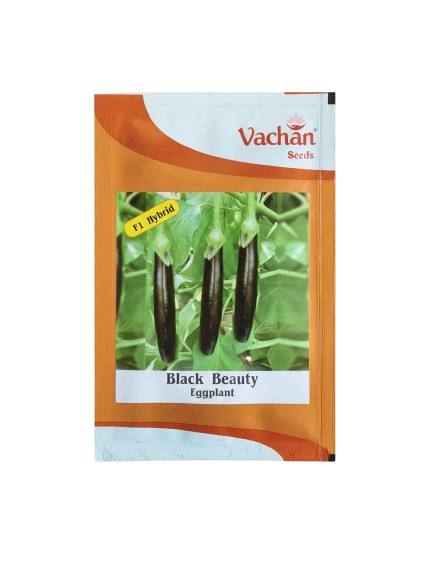 ब्लैक ब्यूटी एफ1 बैंगन हाइब्रिड | घरेलू बागवानी के बीज