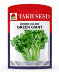 Hybrid Celery Green Giant F1 Seeds | High Yield Dark Green Celery Variety