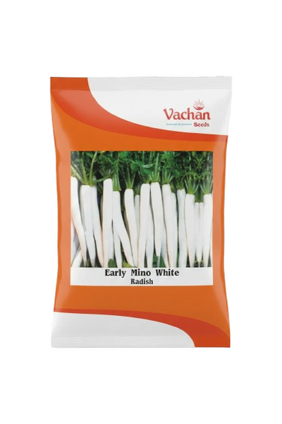 Radish Early Menu White Hybrid | Home Gardening Seeds