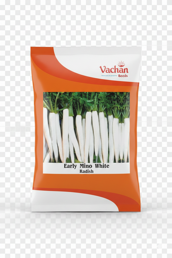 Radish Early Menu White Hybrid | Home Gardening Seeds