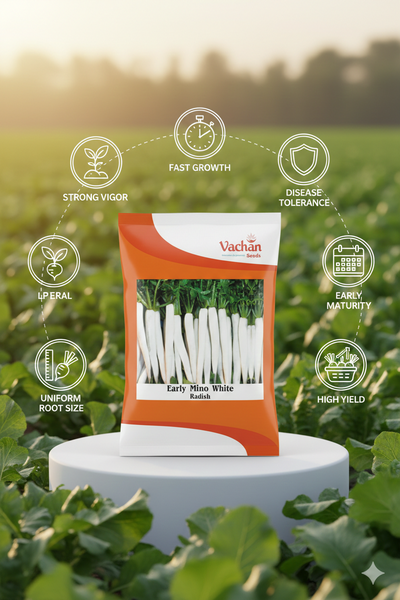 Radish Early Menu White Hybrid | Home Gardening Seeds