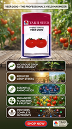 Hybrid Tomato Veer 2000 F1 Seeds | High Yield Red Tomato Variety