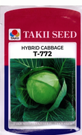 Hybrid Cabbage T-772 F1 Seeds | High Yield Compact Green Cabbage Variety