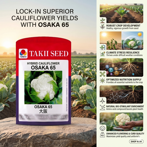 hybrid gobi seeds early harvest