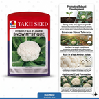 best cauliflower seeds Rabi season