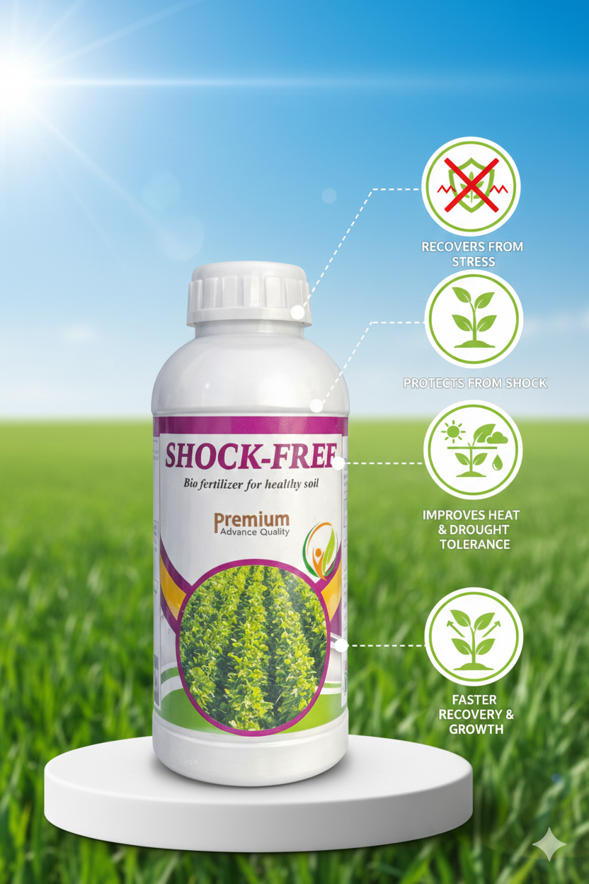 शॉक फ्री