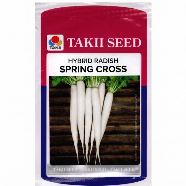 Hybrid Radish Spring Cross F1 Seeds | High Yield White Radish Variety