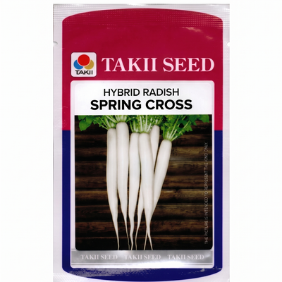 Radish