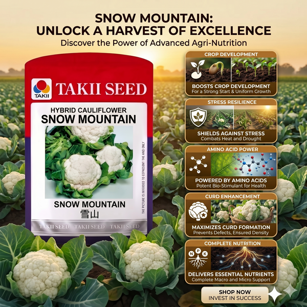 buy gobi seeds online India
