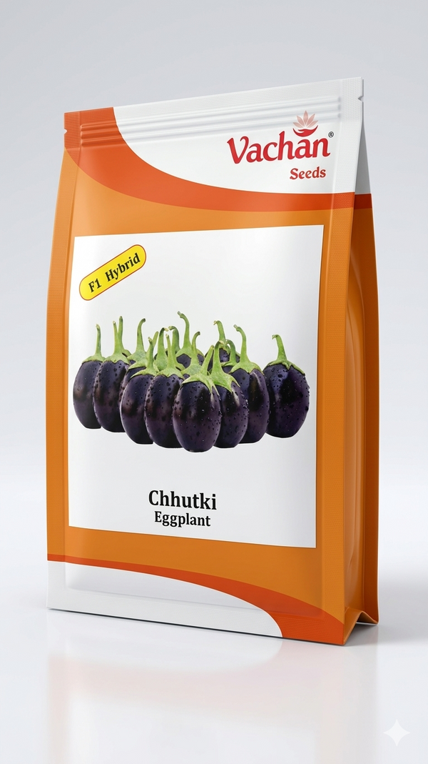 F1 hybrid brinjal seeds home gardening