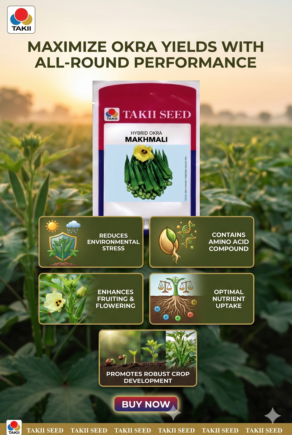 hybrid bhindi seeds online India