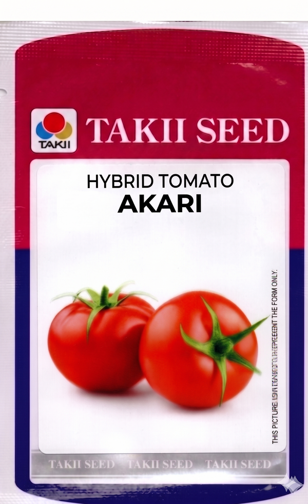 Hybrid Tomato Akari F1 Seeds | High Yield Red Tomato Variety