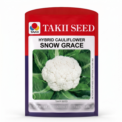 all season cauliflower seeds India