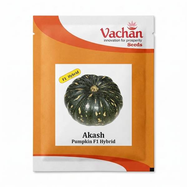Aakash F1 Pumpkin Hybrid | Home Gardening Seeds