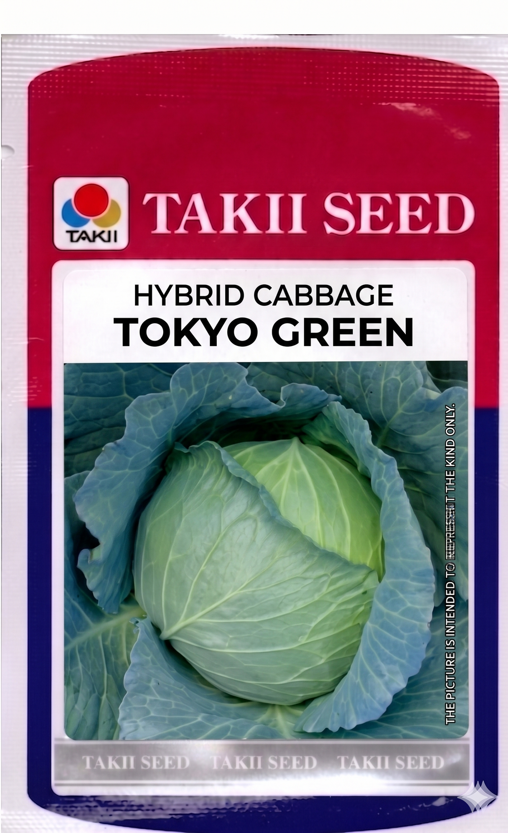 Hybrid Cabbage Tokyo Green F1 Seeds | High Yield Green Cabbage Variety