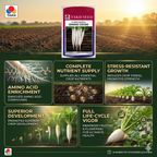 Hybrid Radish Spring Cross F1 Seeds | High Yield White Radish Variety