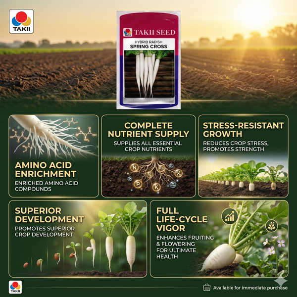 Hybrid Radish Spring Cross F1 Seeds | High Yield White Radish Variety