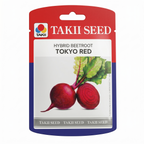 beetroot seeds online
