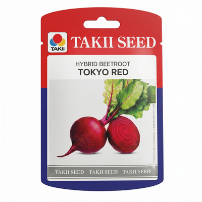 Beet Root