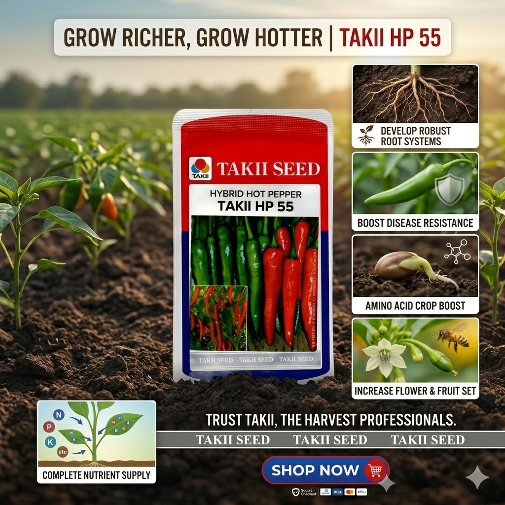 F1 hybrid chilli seeds