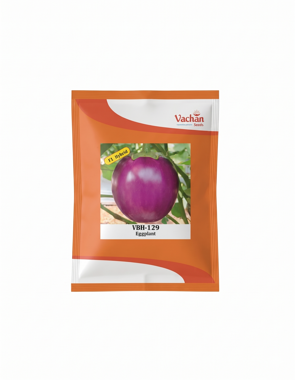Vbh 129 F1 Eggplant Seeds – High Yield Hybrid