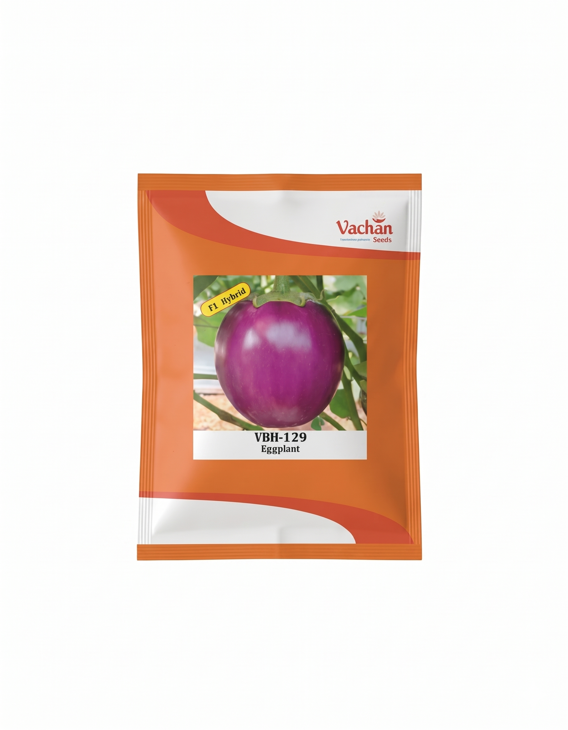 Vbh 129 F1 Eggplant Seeds – High Yield Hybrid