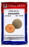 Hybrid Musk Melon Saguaro F1 Seeds | High Yield Muskmelon Variety