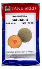 Hybrid Musk Melon Saguaro F1 Seeds | High Yield Muskmelon Variety