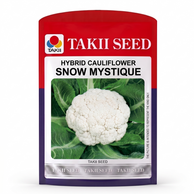 Cauliflower/फूलगोभी