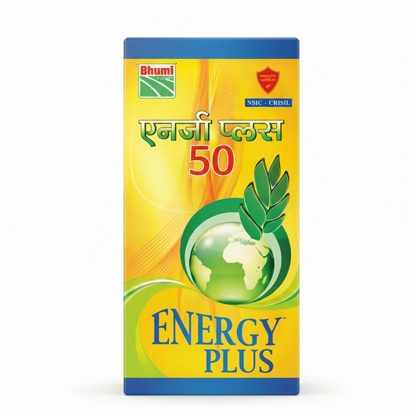 Energy Plus